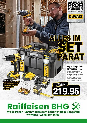 Titelseite: Dewalt – Profiangebote im September